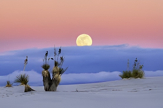 moon_photo