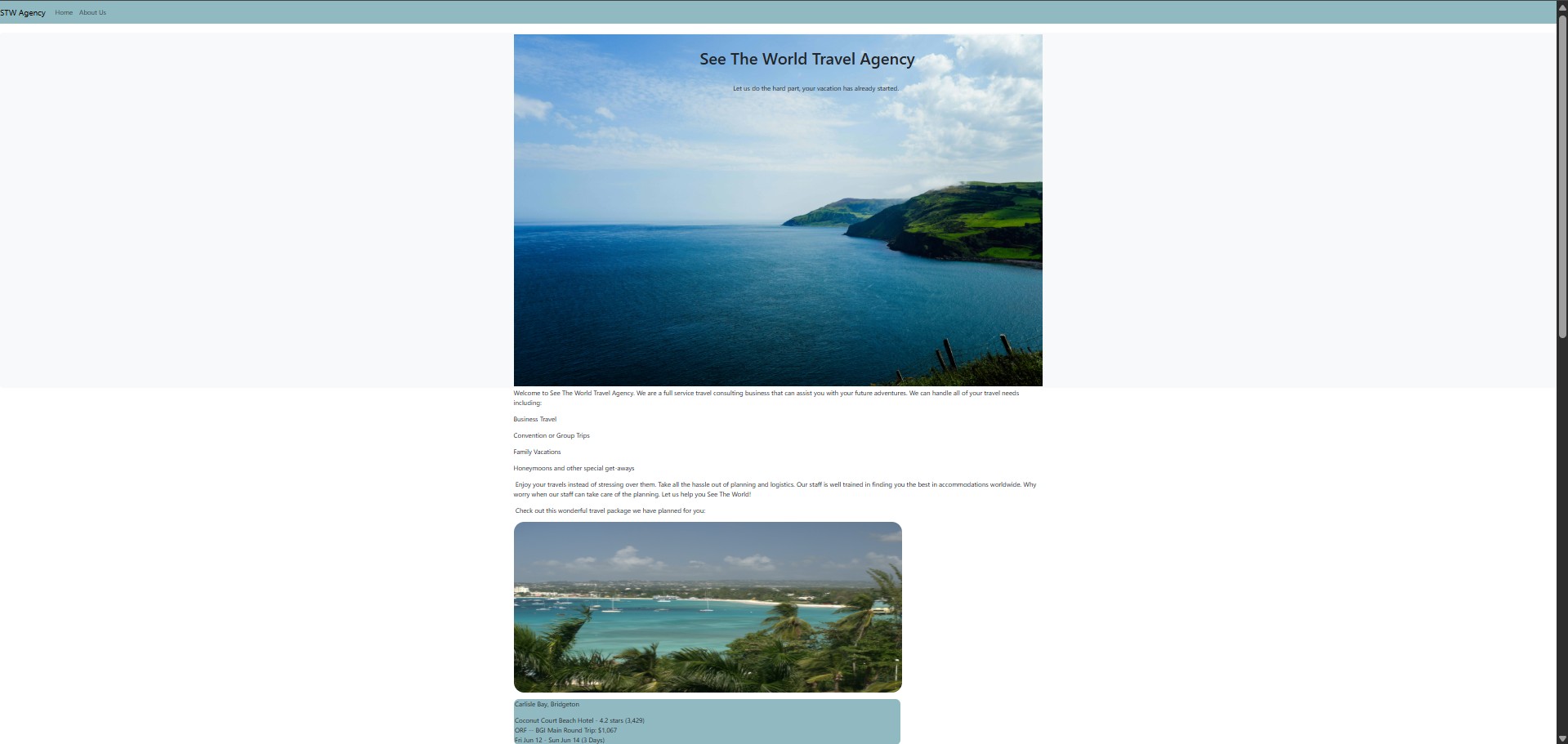 Travel agency website image